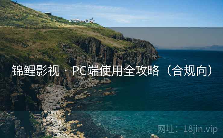 锦鲤影视 · PC端使用全攻略(合规向) 第1张 锦鲤影视 · PC端使用全攻略(合规向) 第1张