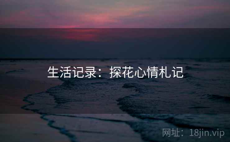 生活记录：探花心情札记