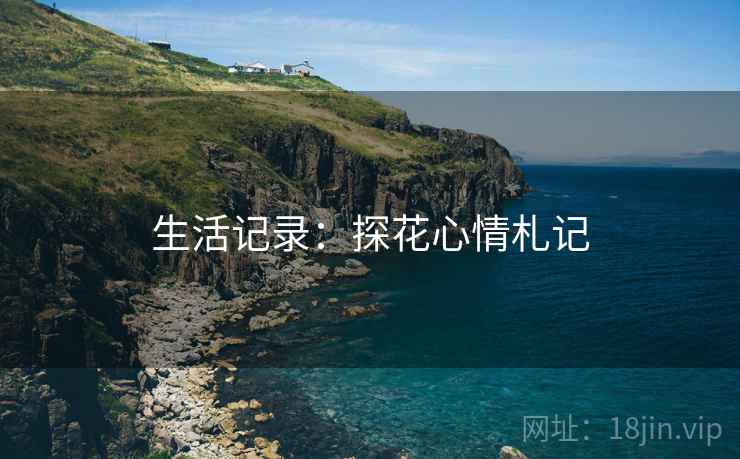 生活记录：探花心情札记